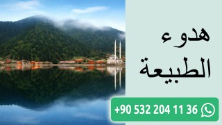 هدوء الطبيعة